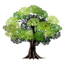 Gospoda Pod Dąbkiem